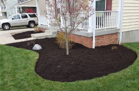 A large landscape bed that has been filled with fresh mulch.