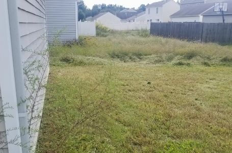 A large residential lot that is overgrown with grass. There is a banner of text in the left corner of the picture that reads we fix this.